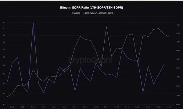 比特币新一轮牛市启动 6图显示80%的BTC钱包都赚翻了