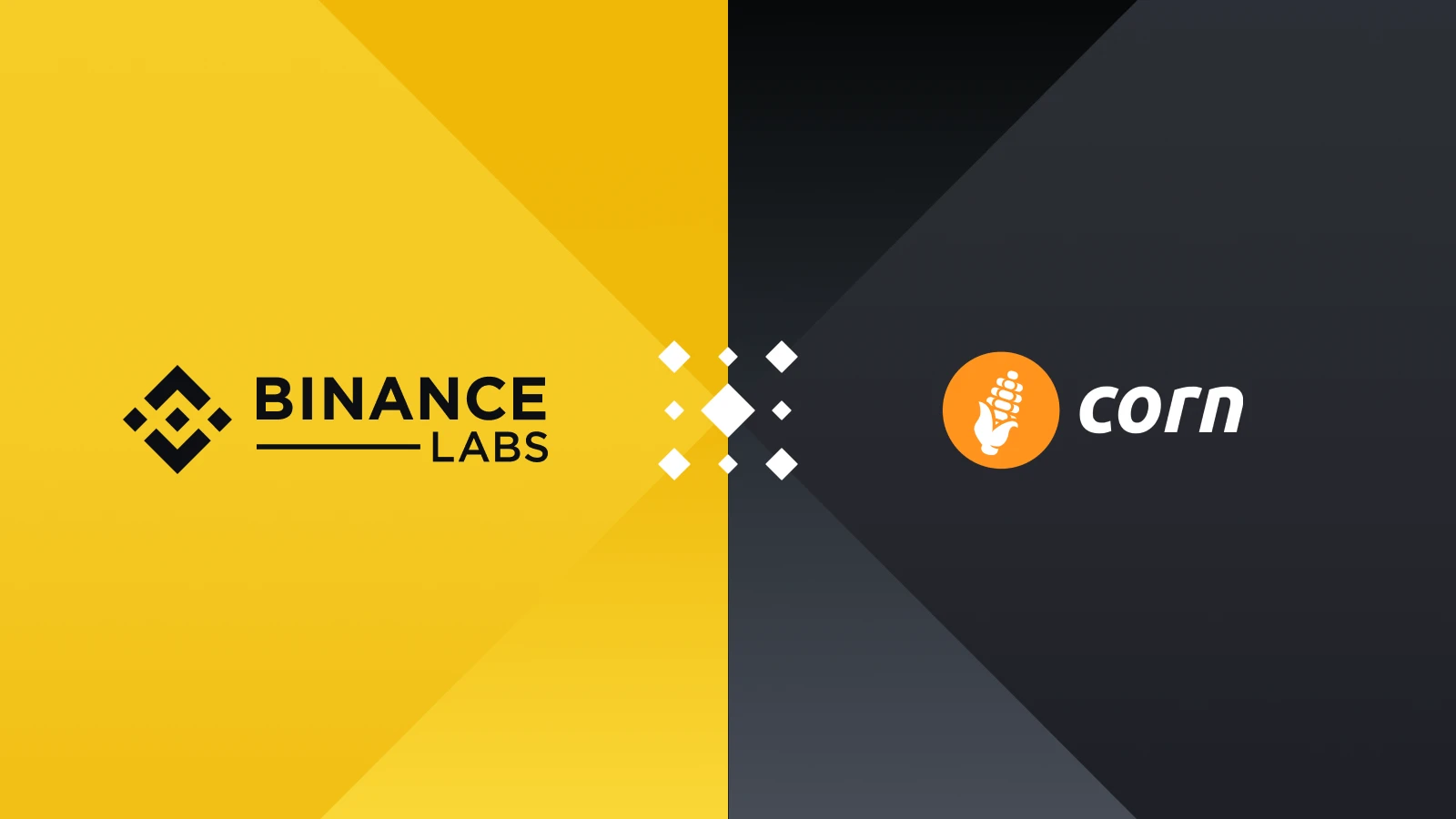 手把手带你交互Binance Labs八月投资五大项目