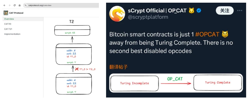 UniSat下场支持，CAT20成为Fractal Bitcoin生态新宠？｜BTC生态